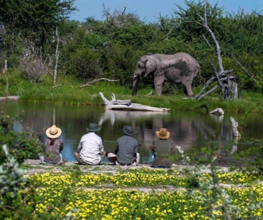 Unlock Africa’s Best-Kept Hiking Secrets: Trails That Transform Your Body and Soul Beyond Imagination