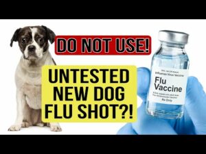 Not Enough Information on This NEW Dog Flu Shot