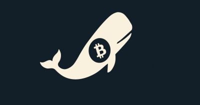 Bitcoin Rockets to $117K: What Galaxy’s Secret $80K BTC Move Means for Early Whales and Your Next Big Investment