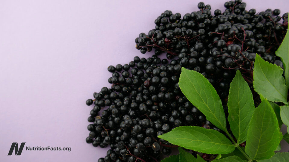Elderberry, Echinacea, Cranberries: Miracle Cures or Just Hype for Your Cold and Flu?