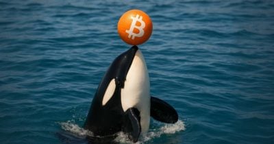 Galaxy Digital’s $447M Bitcoin Shift: Market Panic or Strategic Play?