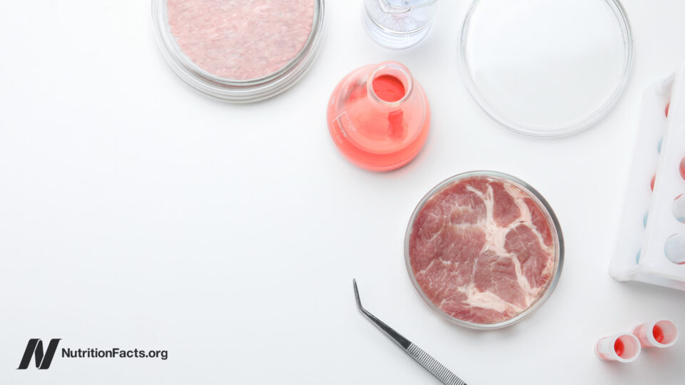 Is Cultivated Meat the Future of Food Safety or a Hidden Chemical Danger Lurking on Our Plates?