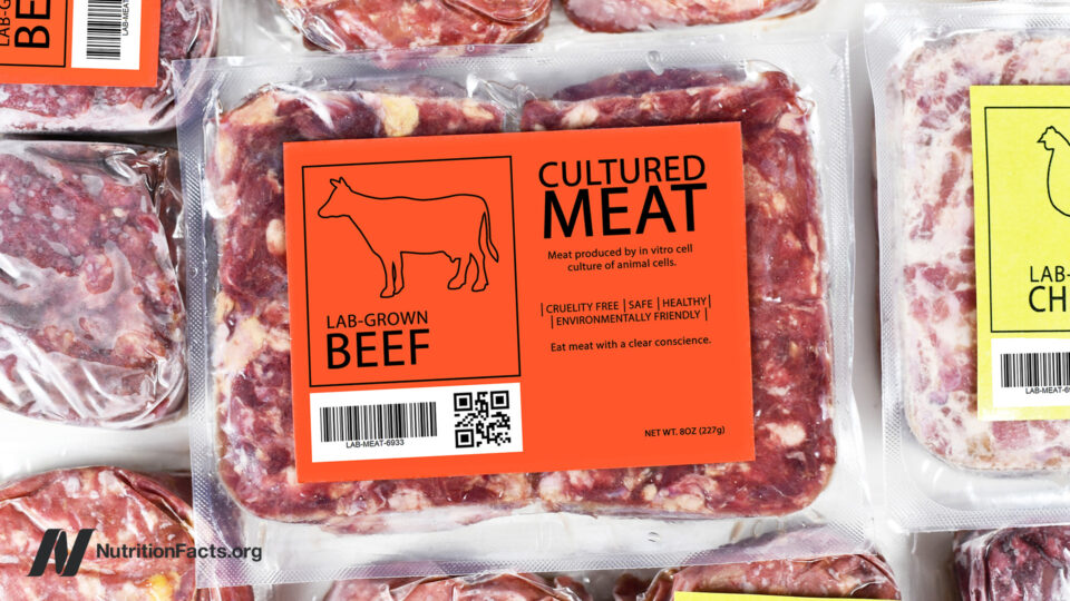 Is Cultivated Meat the Future of Food Safety or Just Another Lab Experiment?