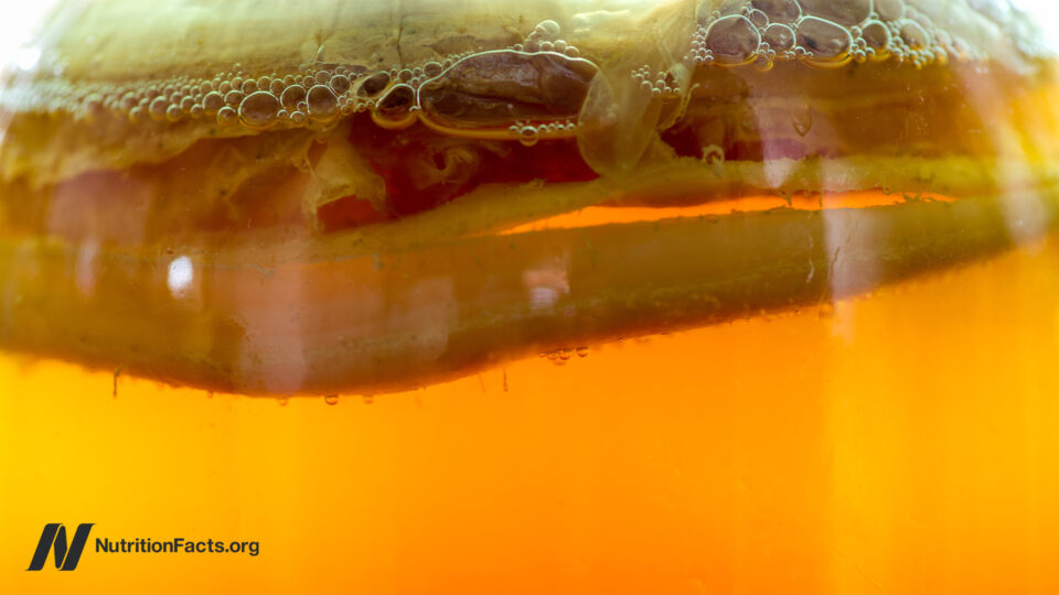 Is Kombucha the Health Elixir You’ve Been Missing or Just Another Overhyped Trend?