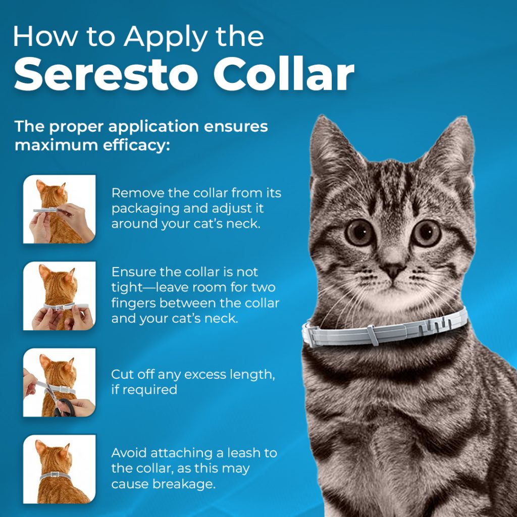 Is the Seresto Collar for Cats Really a Game-Changer, or Just Another Flea Myth?