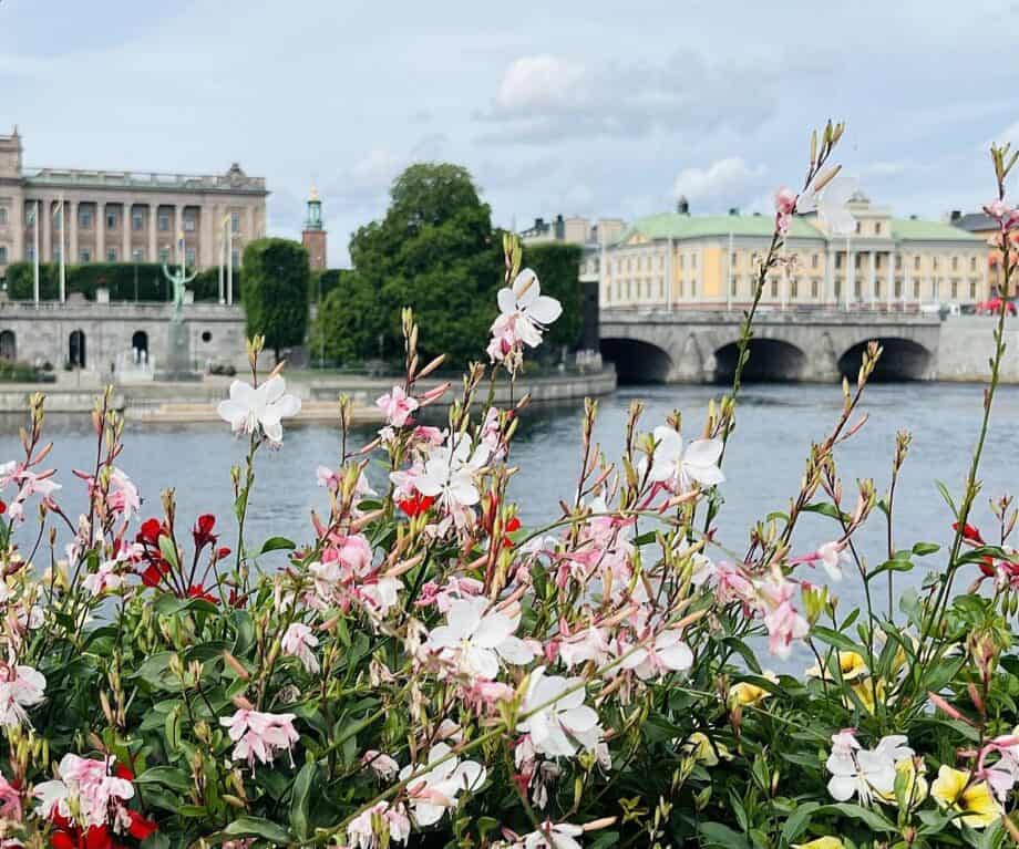 Unlock Stockholm’s Hidden Fitness Secrets: 10 Surprising Highlights That Will Transform Your Body and Mind