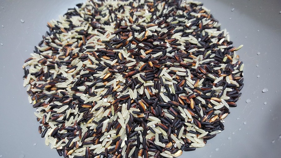 Unlock the Hidden Powers of Rice: The Surprising Superfood Secret Nobody Told You About