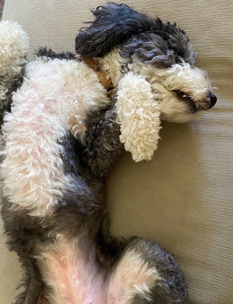 Unlock the Secret Sleep Formula I Swear By for Unbeatable Energy and Deep Rest Every Night