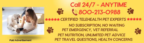 Unlocking 2025: How AI Is Quietly Revolutionizing Your Pet’s Health and Happiness Like Never Before