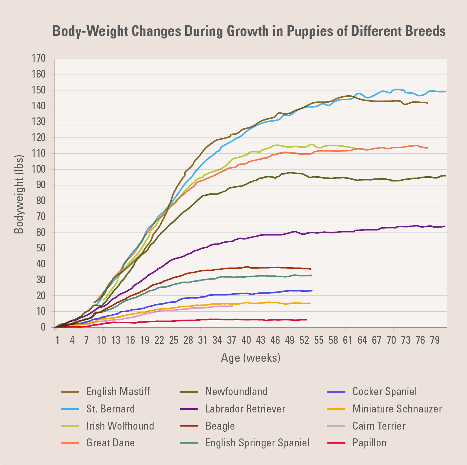 Unlocking Puppy Growth Secrets: When Does Your Furry Friend Really Stop Growing?
