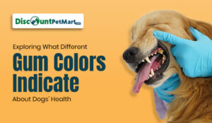 What Your Dog’s Gum Color Really Means—The Surprising Health Secrets Every Pet Owner Needs to Know