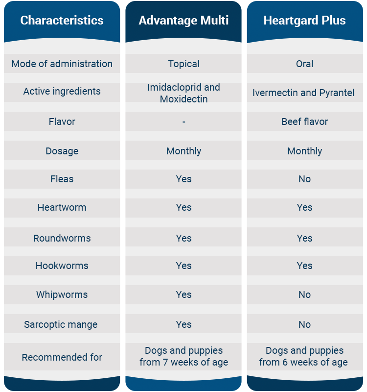 Which Flea and Tick Shield Reigns Supreme: The Untold Truth About Advantage Multi vs. Heartgard Plus That Vets Don’t Want You to Know!