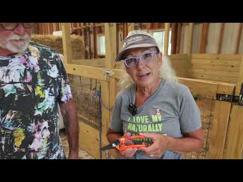 A Day in the Life on Dr. Judy's Farm
