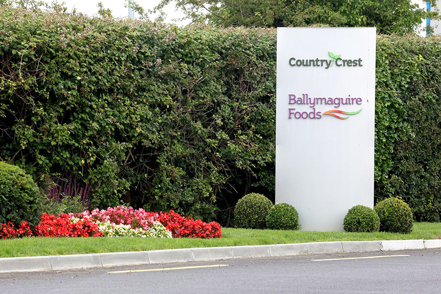 Ballymaguire Foods Bounces Back: What Their Swift Return from a Listeria Scare Means for Investors and Entrepreneurs