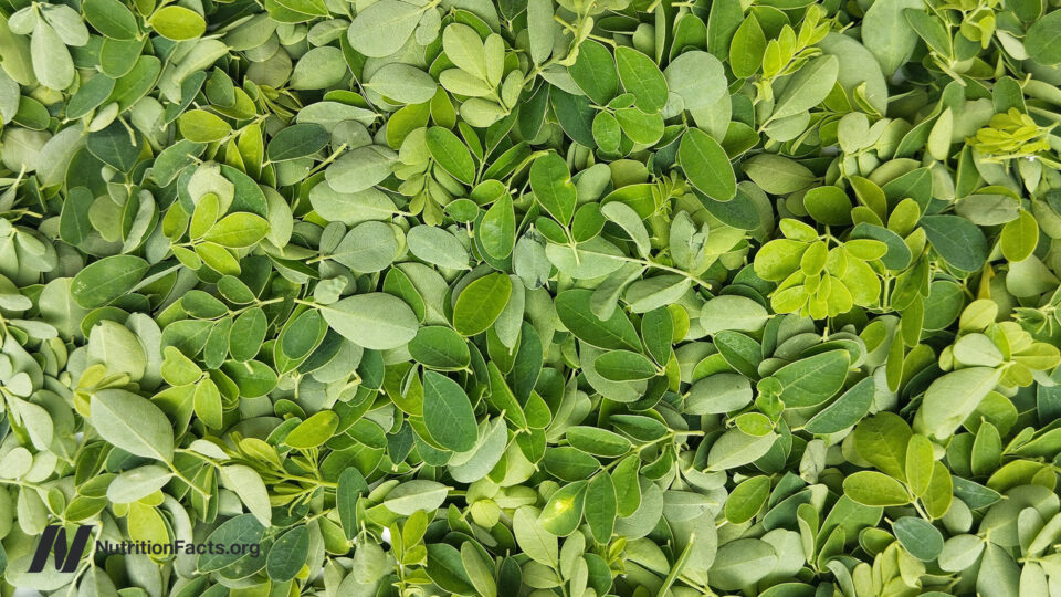 Could Moringa Be the Secret Superfood That’s Outperforming Every Other Nutritious Powerhouse You Know?