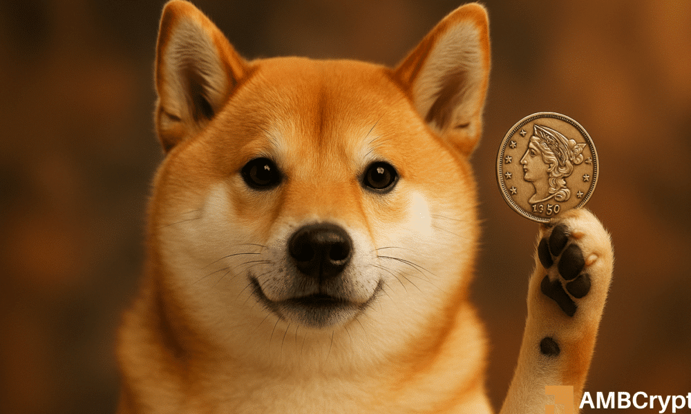 Is SHIB’s Surge to Half a Cent the Ultimate Crypto Hustle You Can’t Afford to Ignore?
