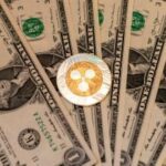 Ripple Fires Back: Is the SEC Poised to Tighten Its Grip on Crypto, or Is This Just the Beginning of a Regulatory Showdown?