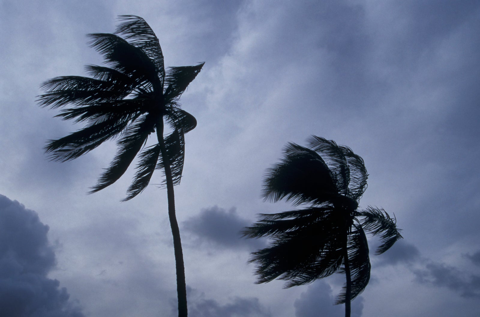 The Hidden Travel Pitfalls That Could Wreck Your Hurricane Season Getaway—Avoid These at All Costs!