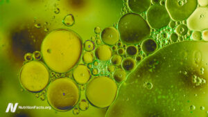The Hidden Truth About Common Food Emulsifiers: Are They Sabotaging Your Gut Health?