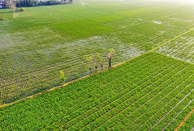 The Untold Secrets to Choosing the Perfect Agricultural Trading Company That Could Skyrocket Your Profits Overnight