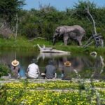 Unlock Africa’s Best-Kept Hiking Secrets: Trails That Transform Your Body and Soul Beyond Imagination