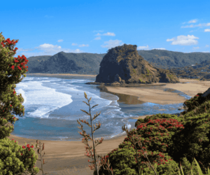 Unlock New Zealand’s Hidden Photography Gems: Slow Luxury Travel Secrets That Will Transform Your Lens