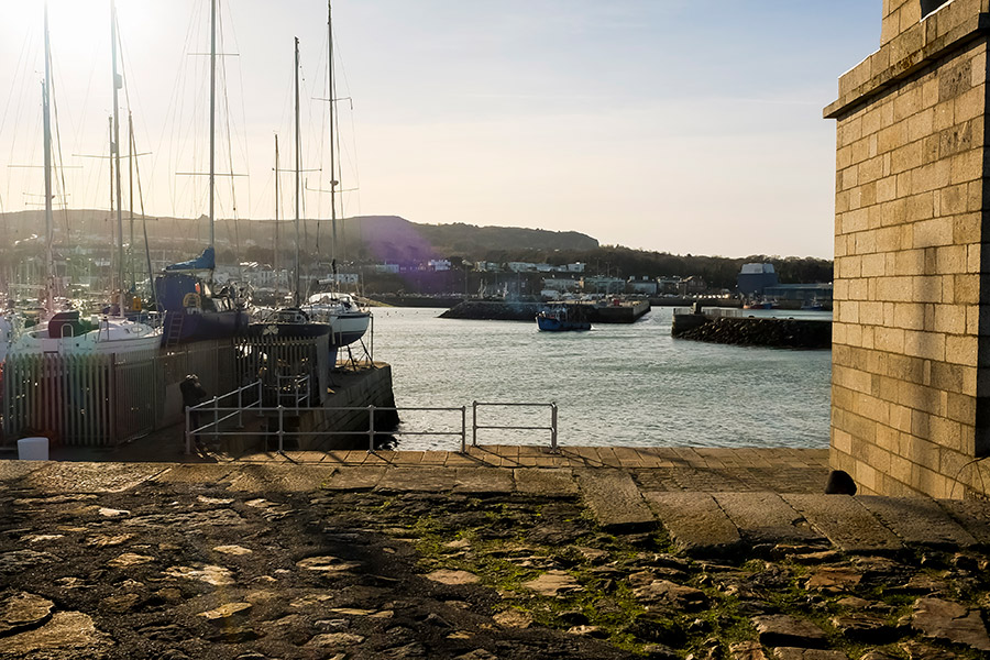 Unlock the Hidden Goldmine: How BIM’s Seafood Academy is Shaking Up the Independent Seafood Trade Game!