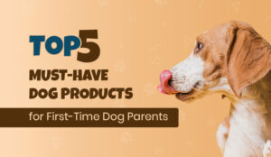 Unlock the Secret Arsenal Every First-Time Dog Parent Wishes They Knew Before Bringing Home Their Pup!