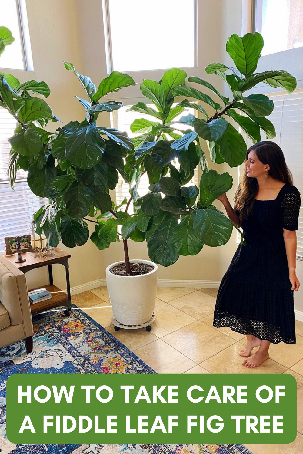 Unlock the Secret Growth Hack for Fiddle Leaf Fig Trees That Every Plant Lover Overlooks!