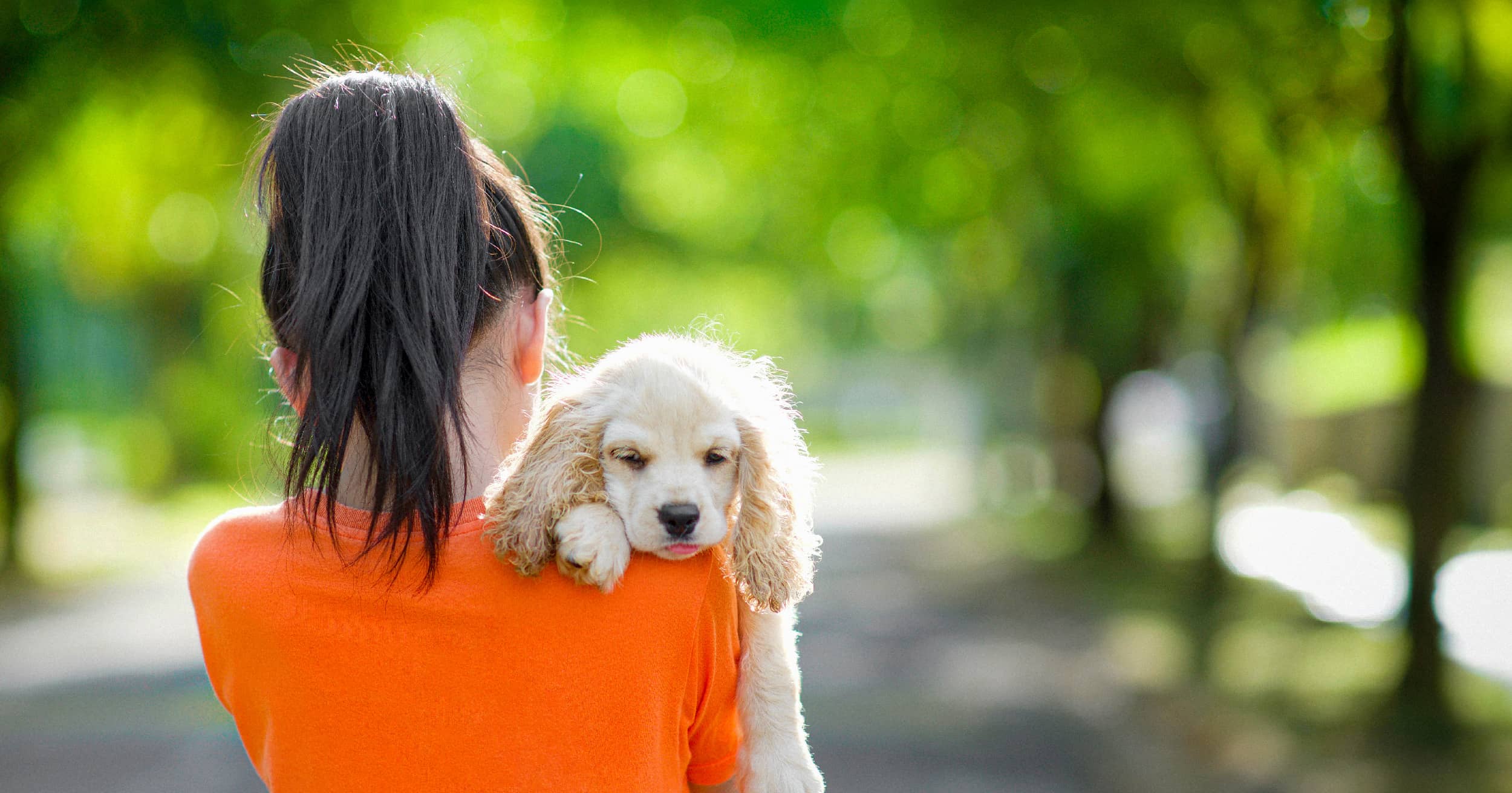Unlock the Secret to Your Ideal Family Dog: The Surprising Traits Experts Swear By