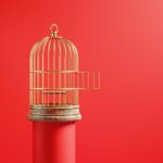 Unlocking Desire: The Surprising Power of Male Chastity Cages You Never Knew About