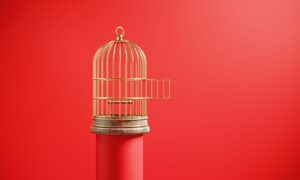 Unlocking Desire: The Surprising Power of Male Chastity Cages You Never Knew About