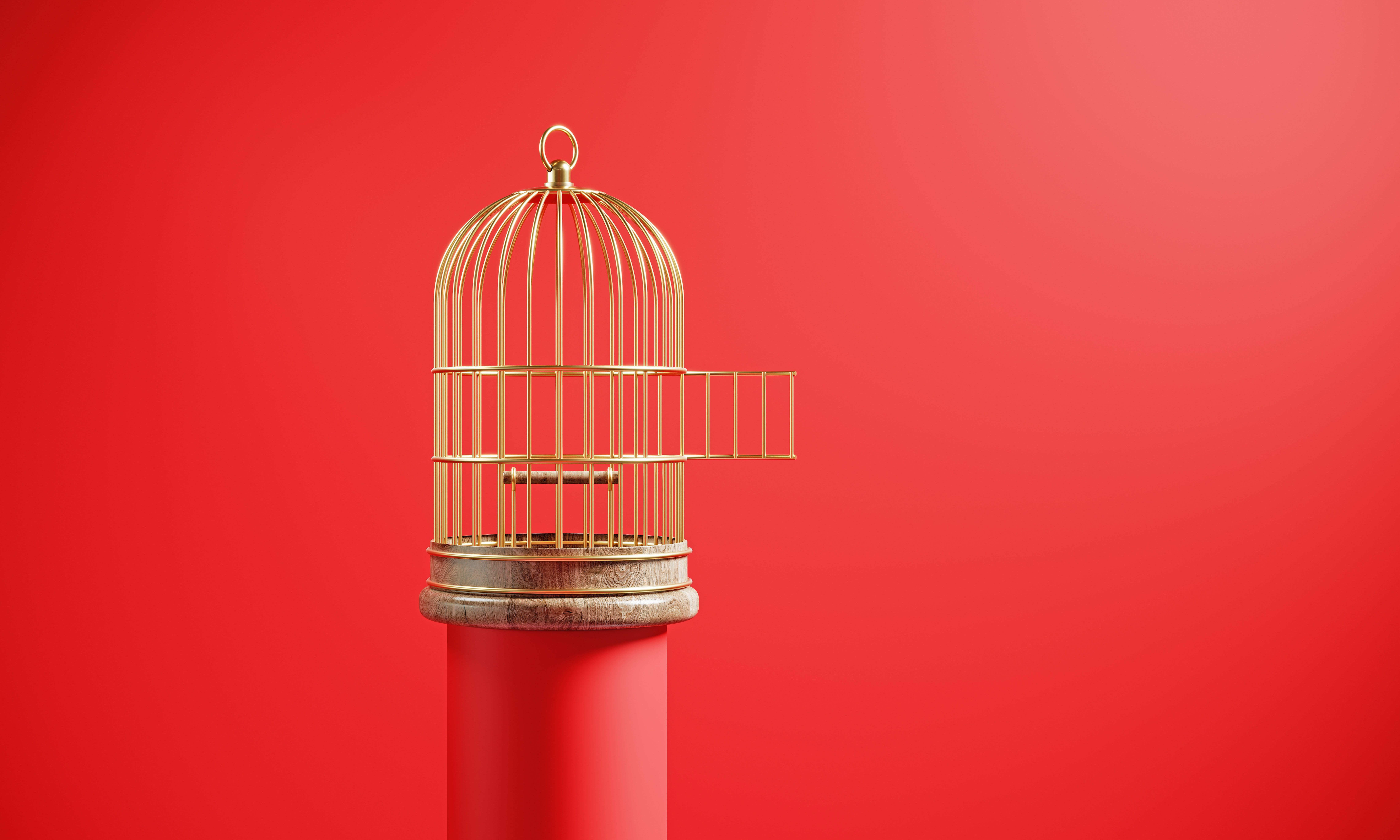 Unlocking Desire: The Surprising Power of Male Chastity Cages You Never Knew About