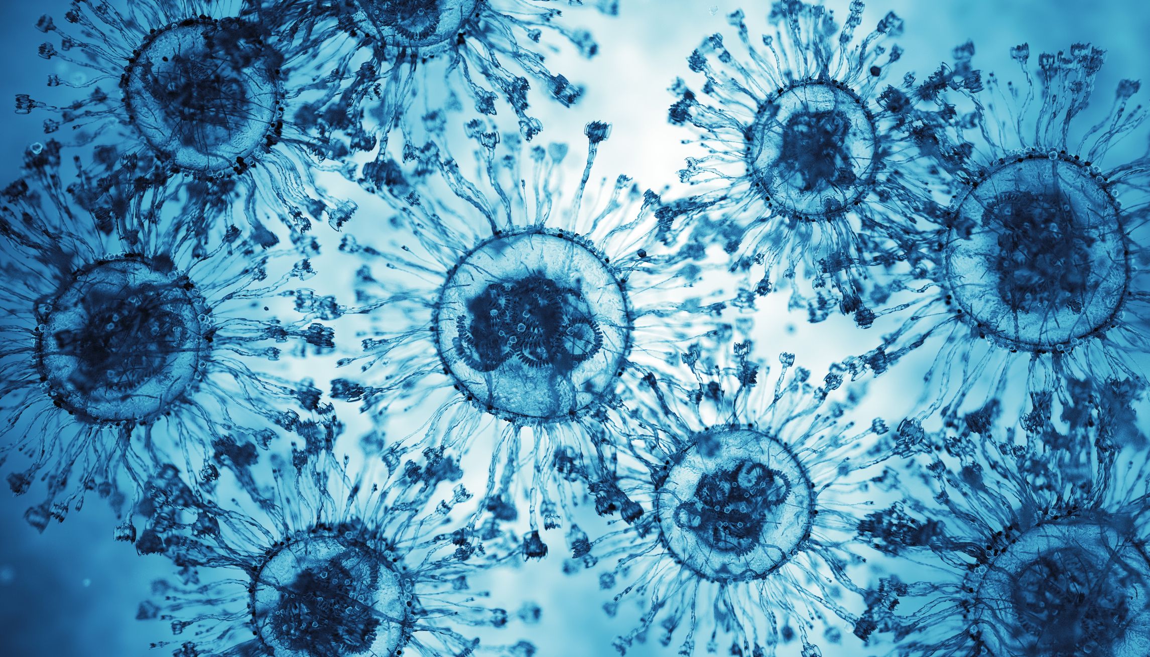 Unlocking the Hidden Realm: Is There a Mysterious Third State Between Life and Death That Proves Our Cells Are Conscious?