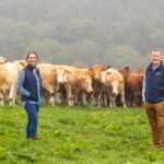 Why Dawn Meats’ €128M Bet on a Kiwi Meat Giant Could Reshape the Global Protein Game Forever