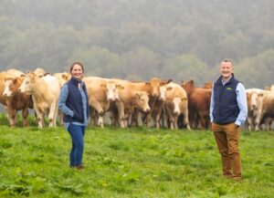 Why Dawn Meats’ €128M Bet on a Kiwi Meat Giant Could Reshape the Global Protein Game Forever