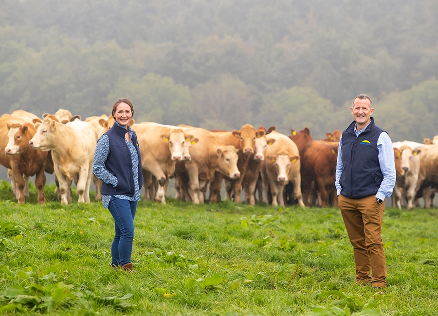Why Dawn Meats’ €128M Bet on a Kiwi Meat Giant Could Reshape the Global Protein Game Forever