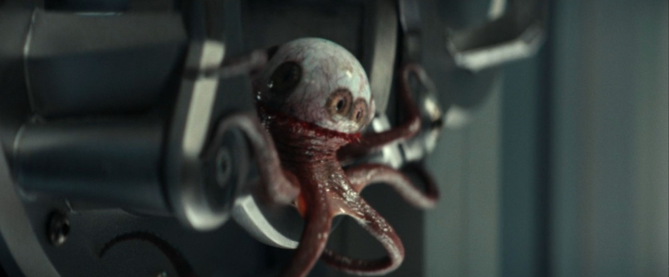 Why the Eyeball Octopus in Alien: Earth Could Change Everything You Thought You Knew About Marine Fitness and Survival!