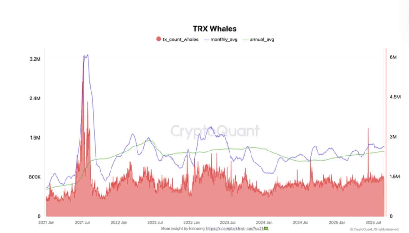 Why TRON’s Whale Moves Are Quietly Setting the Stage for a $0.36 TRX Surge You Can’t Afford to Ignore