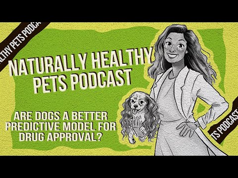 Are Dogs a Better Predictive Model For Drug Approval? | NHP Podcast Ep 64 | Dr Judy M. & Dr Terry F