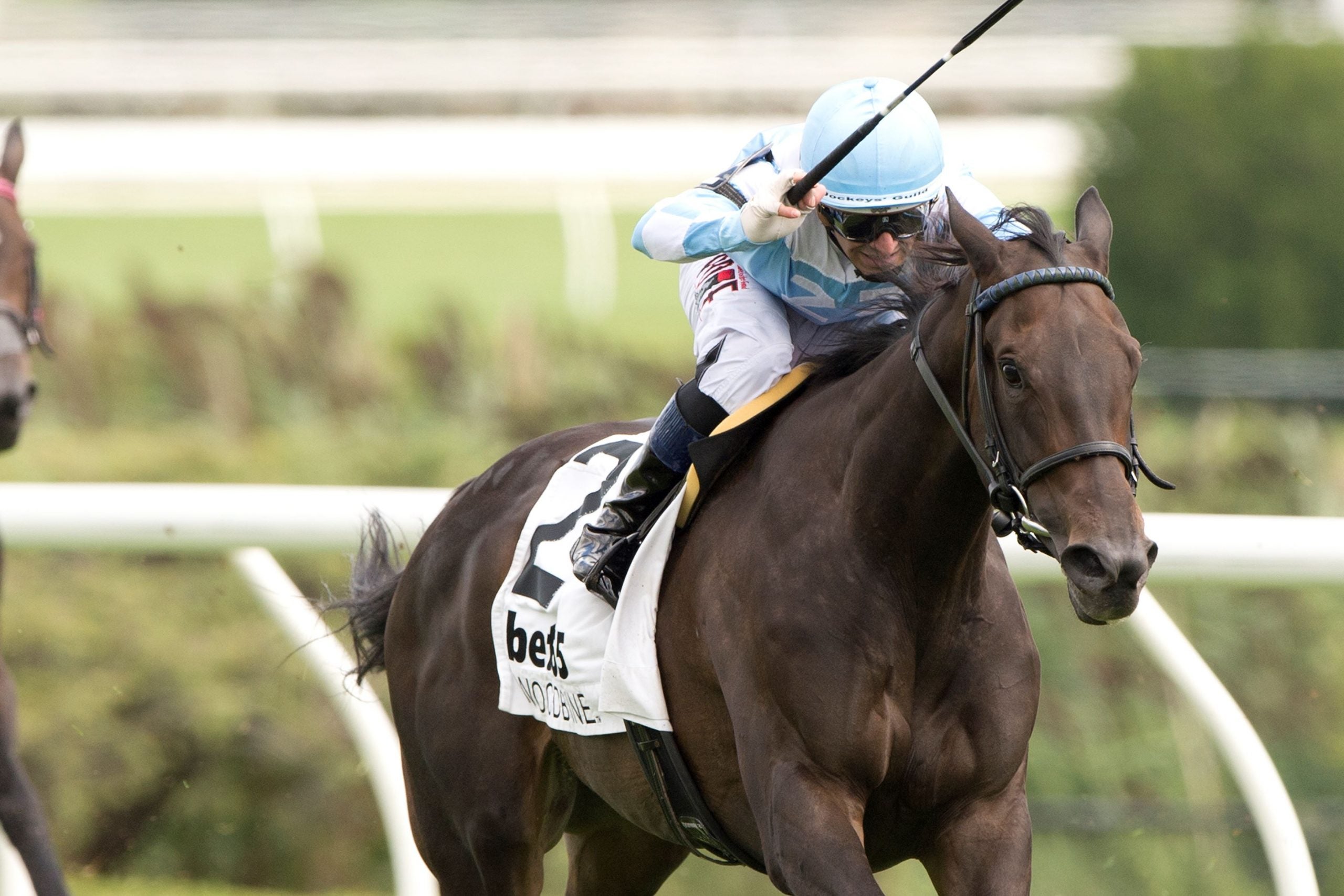 Can Attfield Secure a Record-Breaking Tenth Breeders’ Stakes Win with Ciunas? The Stakes Have Never Been Higher!