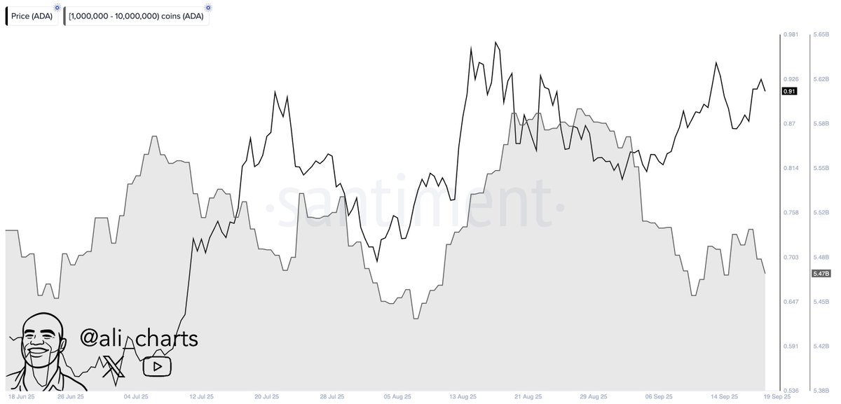 Cardano Whales Just Snatched 530M ADA in 48 Hours—Is a $1.20 Surge the Next Breakthrough for Smart Investors?
