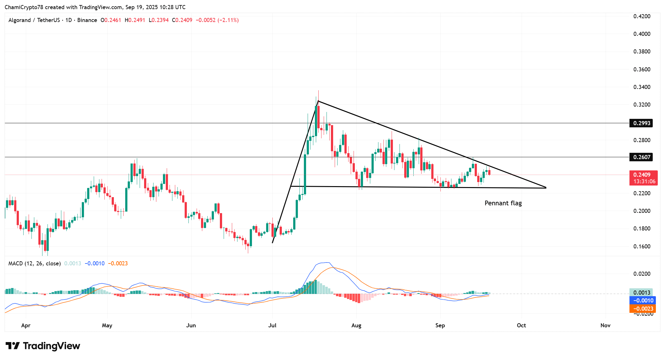 How ALGO Could Shatter $21M Whale Resistance and Ignite an Unstoppable Surge—Are You Ready to Ride the Wave?