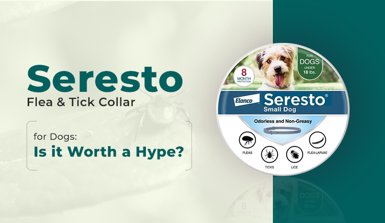 Is the Seresto Flea & Tick Collar a Game-Changer for Your Dog, or Just Another Overhyped Pet Product?