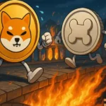 Shiba Inu’s Shibarium Bridge Hit Hard With $2.4M Attack — Here’s What Their Team Isn’t Telling You Yet!