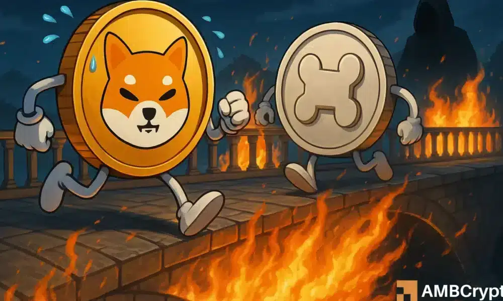 Shiba Inu’s Shibarium Bridge Hit Hard With $2.4M Attack — Here’s What Their Team Isn’t Telling You Yet!