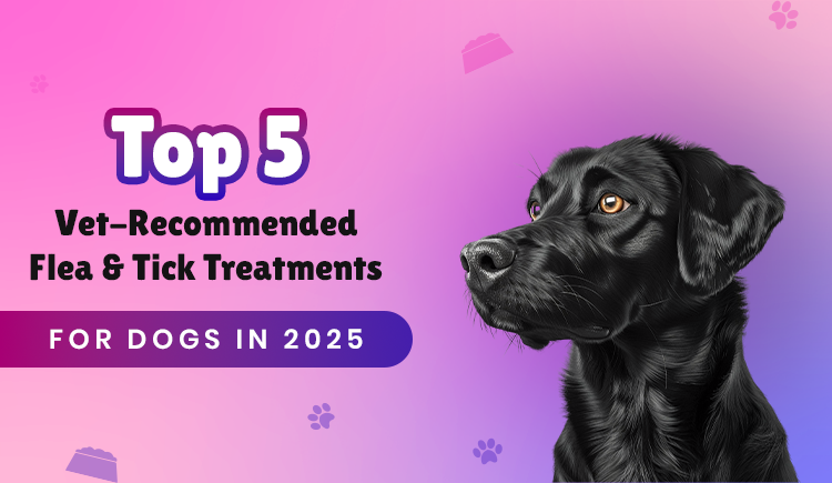 The 2025 Flea and Tick Treatments Vets Swear By—But Only Few Dog Owners Know About!