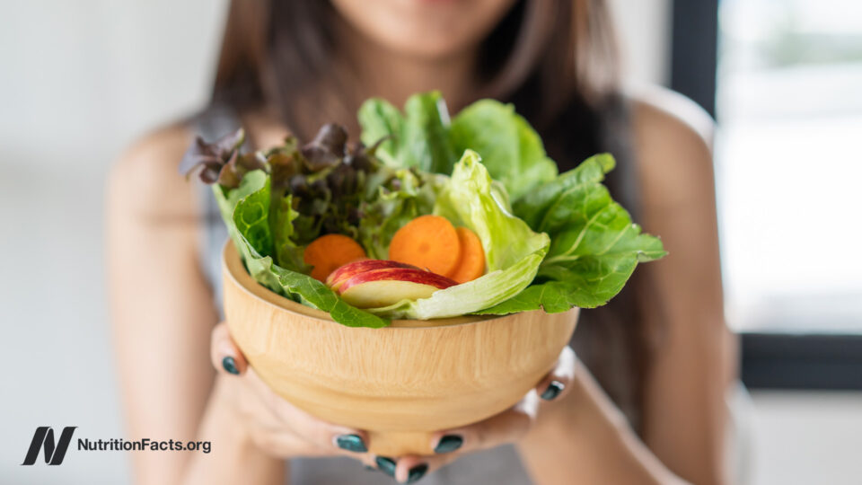 The Surprising Diet Debate That Could Make or Break Your SIBO Recovery: Fiber vs. Low FODMAP—Which Side Are You On?