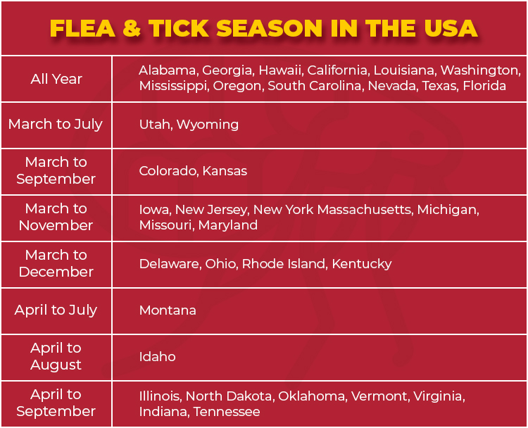 Unlock the Hidden Danger Lurking in Your Yard: When to Start Flea and Tick Prevention Before It’s Too Late