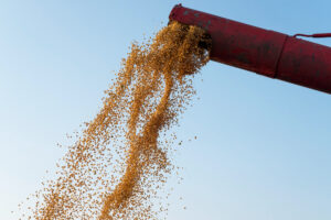 Unlocking Global Domination: How Aerodynamic Grain Dryers Could Be Your Secret Weapon to Crush International Markets!